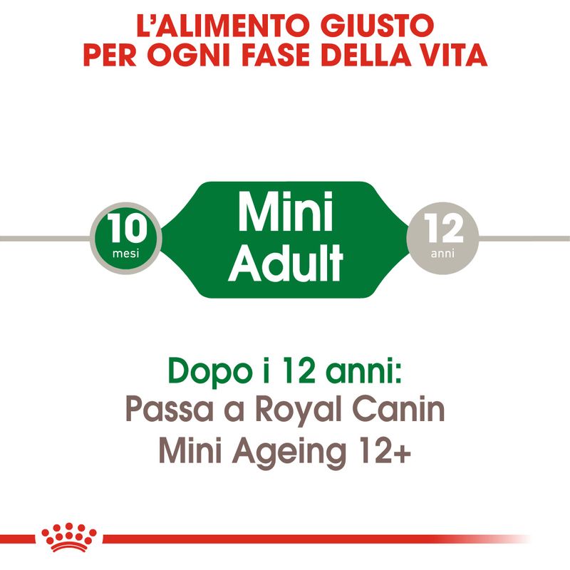 Royal Canin Mini Adult Umido in Salsa per Cani 48x85g Royal Canin Mini Adult Umido in Salsa per Cani 48x85g